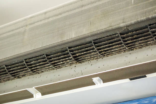 Best Affordable HVAC Duct Cleaning  in Rio Hondo, TX